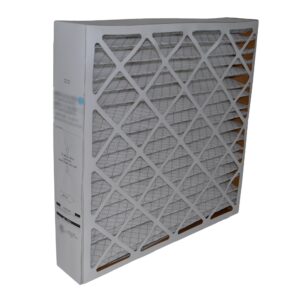 FILXXCAR0024 24x25x4 Cartridge Filter MERV 8
