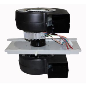 13506 Motor Assembly