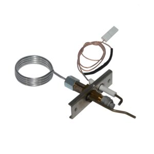 550003793 - Ignitor Assembly